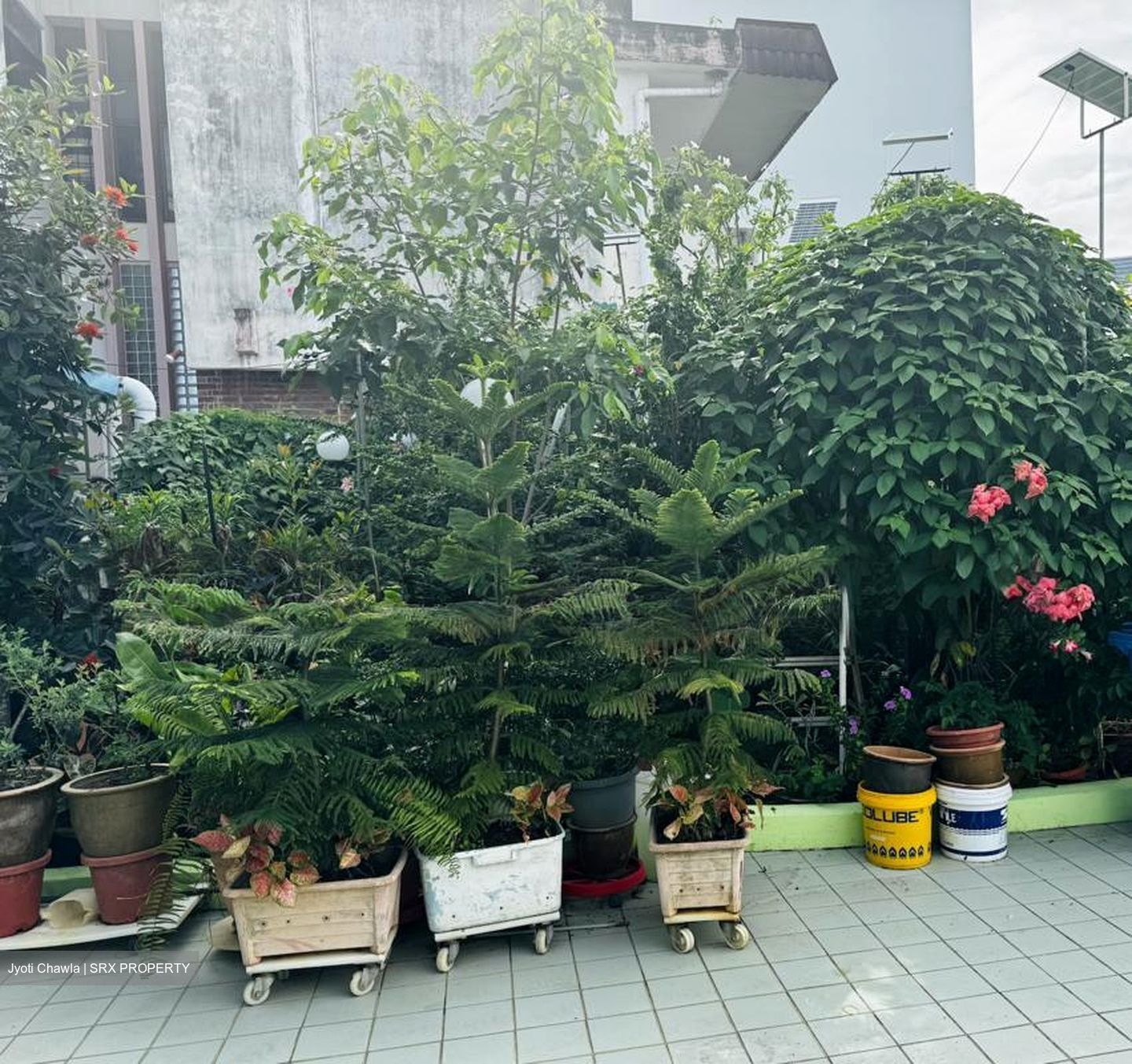 Telok Kurau Road (D15), Semi-Detached #566762671